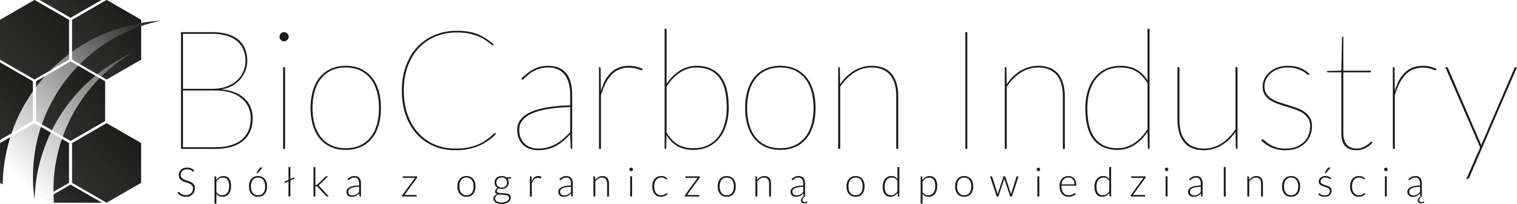 BCI Logo